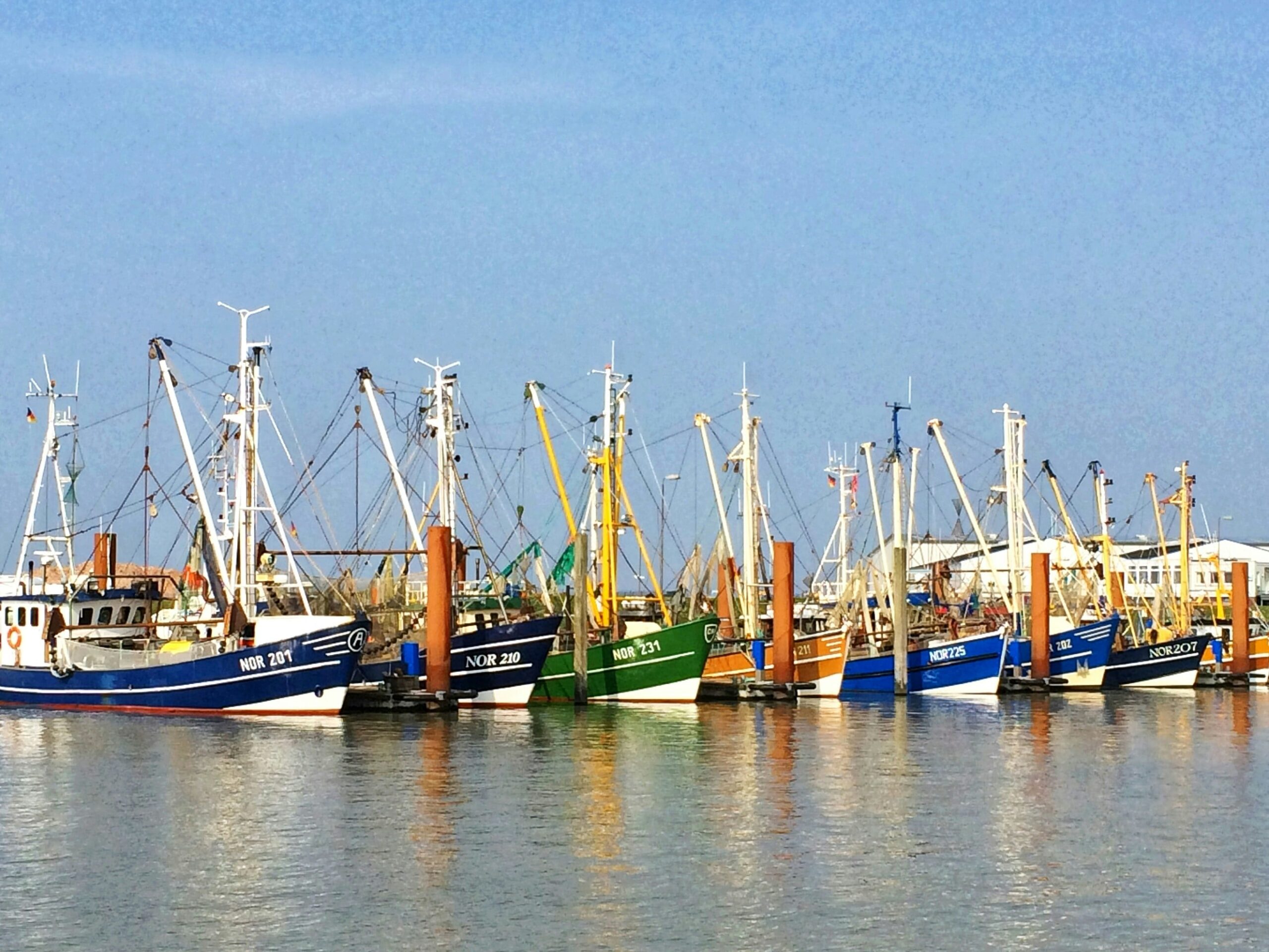Labels and tags for the seafood industry
